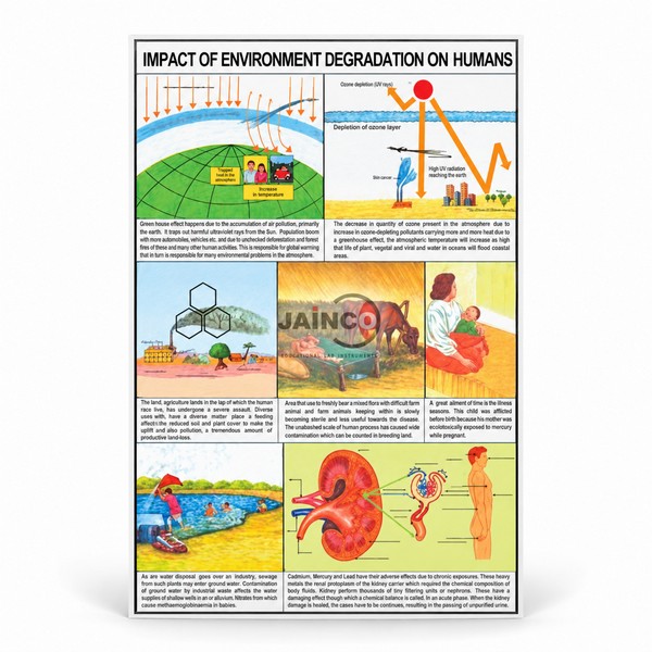 Impact of Environment Degradation on Humans Chart